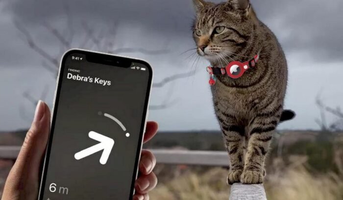 Un chat équipé d'un collier avec Airtag de Apple