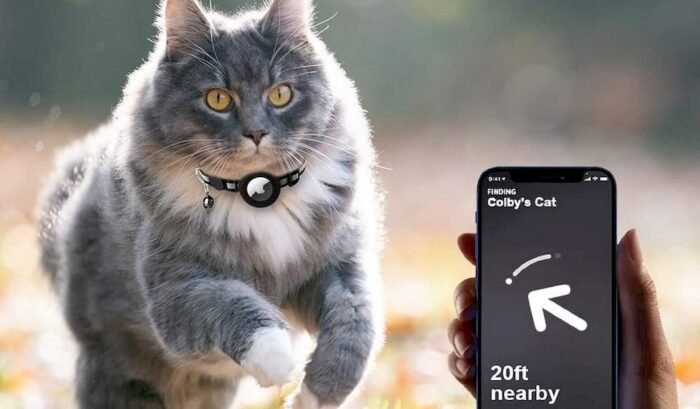 Un chat portant un collier avec GPS