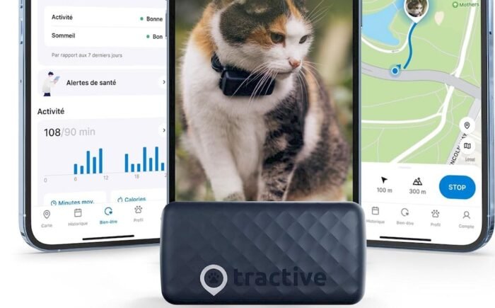 Un collier GPS Tractive pour chat