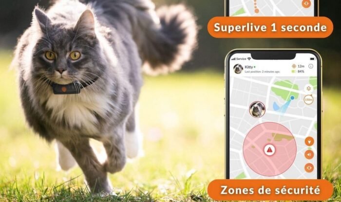 Un chat avec un collier GPS Weenect XS